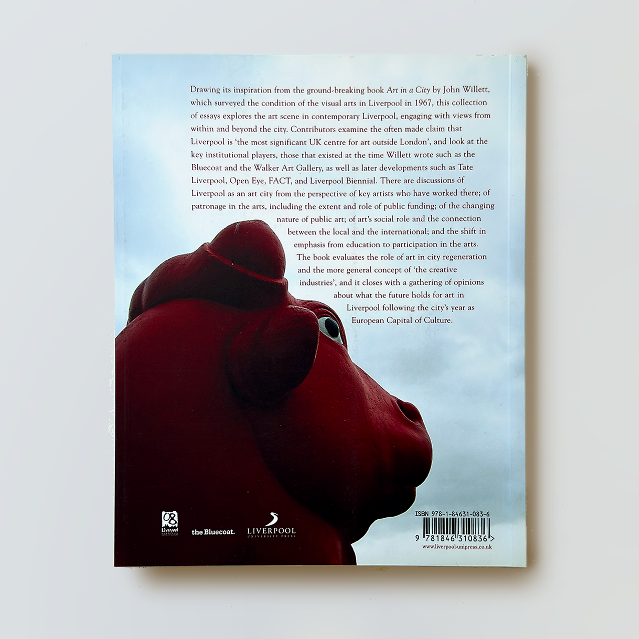 Art in a City Revisited - Publication