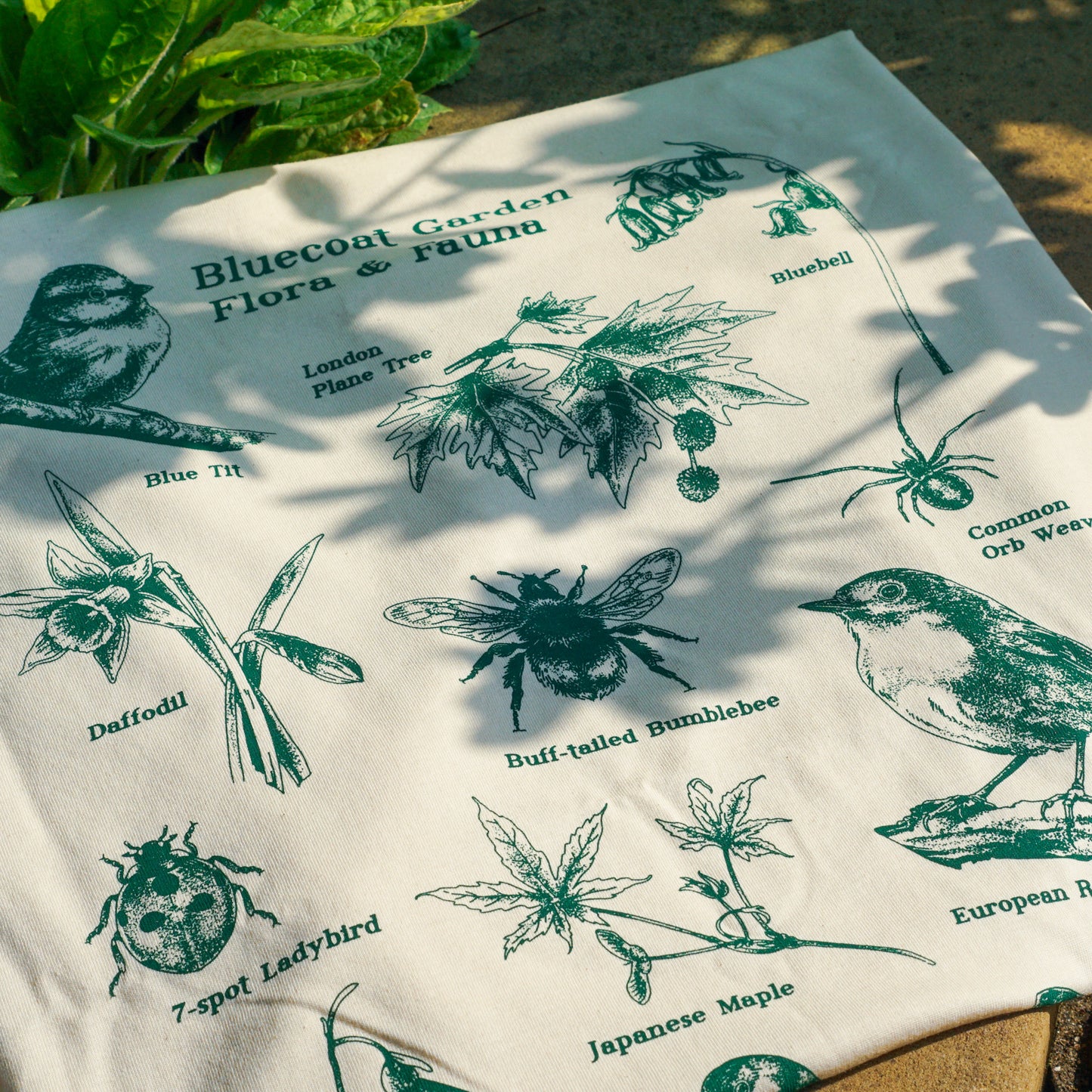 Bluecoat Garden Biodiversity - T-shirt