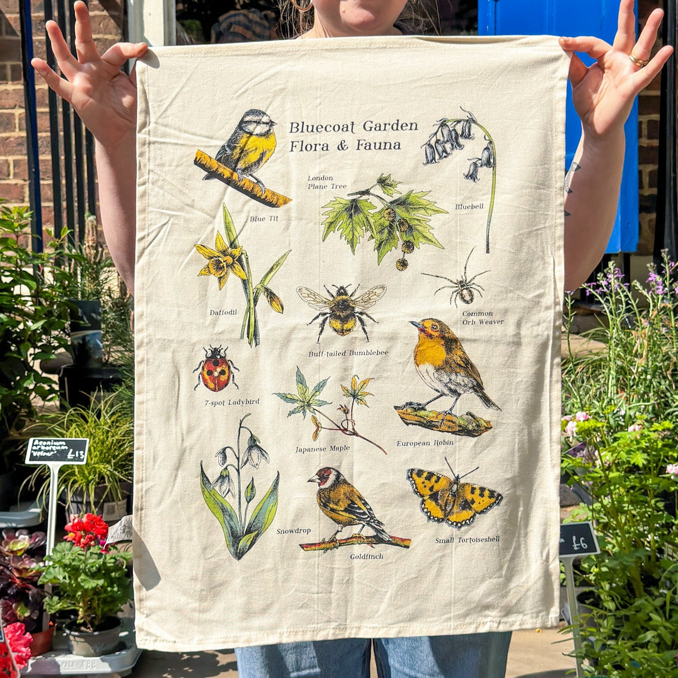 Bluecoat Garden Biodiversity - Tea Towel