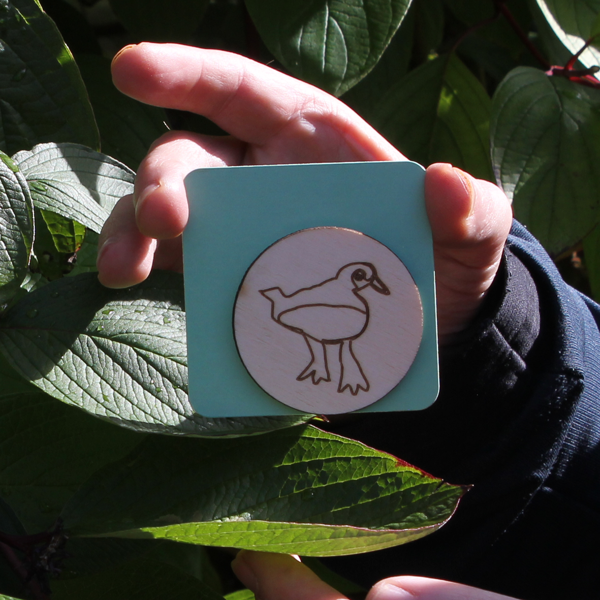 Birds, Bugs & Botanicals - Limited edition Magnet (assorted designs)