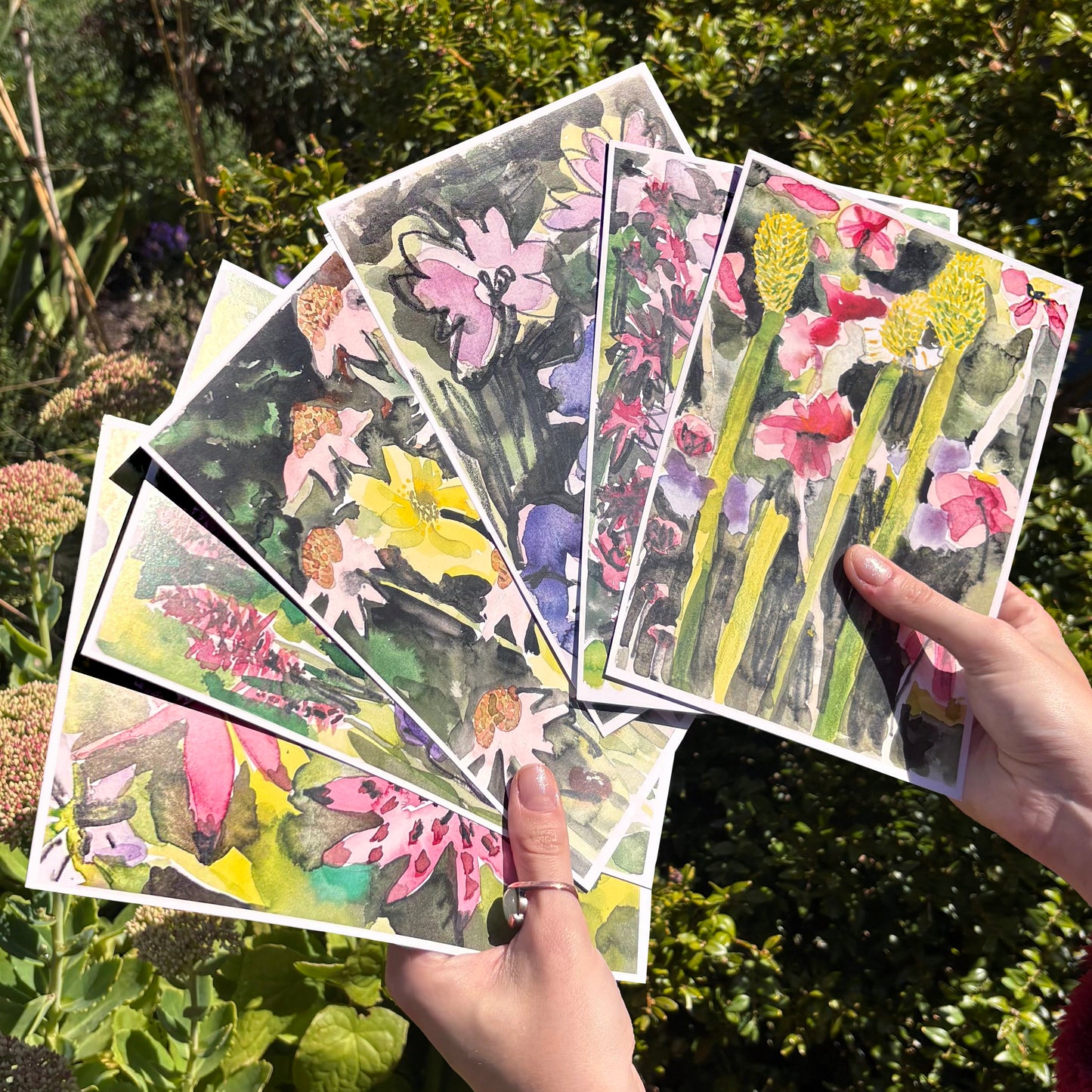Bluecoat x Jade de Montserrat - Art Postcard set