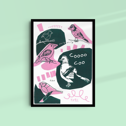 Birds, Bugs & Botanicals - Limited edition A4 Screen Print