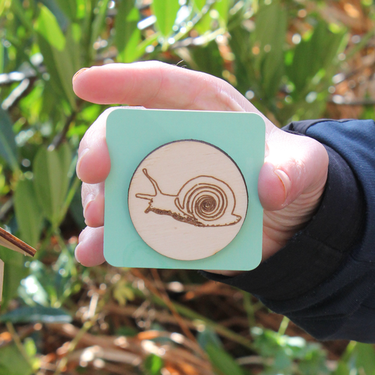 Birds, Bugs & Botanicals - Limited edition Magnet (assorted designs)