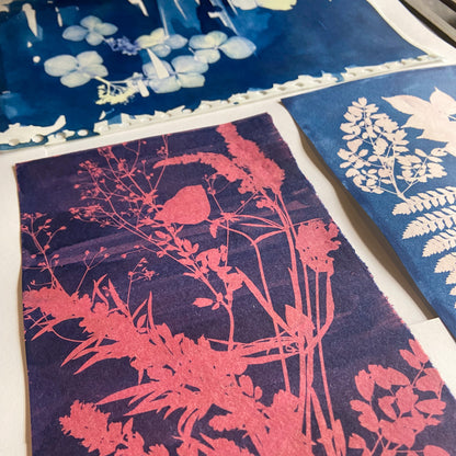 Spring Botanical Cyanotype