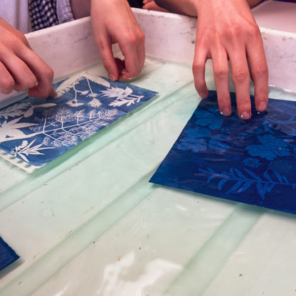 Spring Botanical Cyanotype